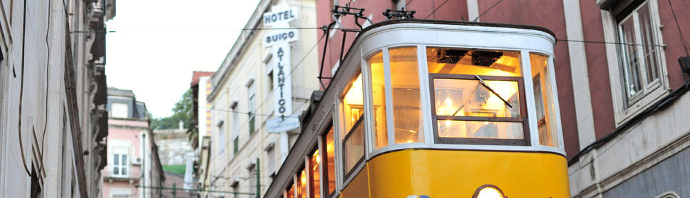 車ならカイトレビアーン